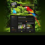 webáruház készítés  Fekete madarak honlap sablon 
